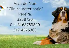 Veterinarias en Pereira Arca de Noe