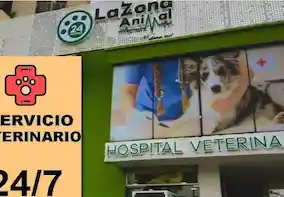 Veterinarias en Pereira La Zona Animal Hospital Veterinario