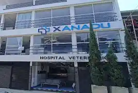 xanadu