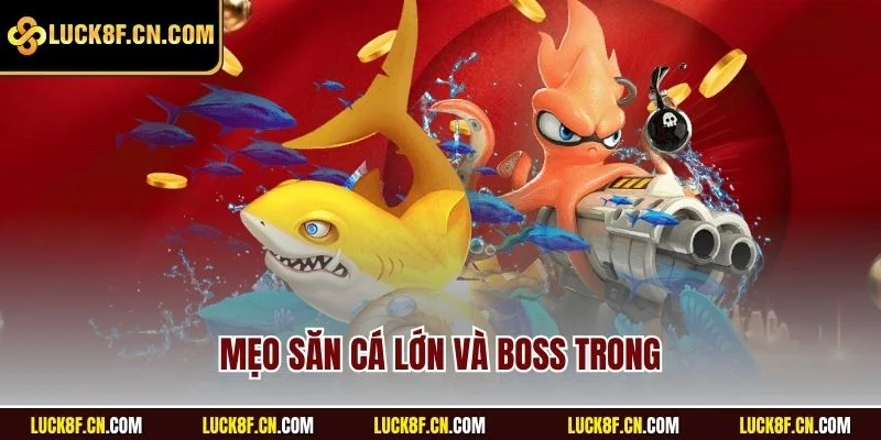 Mẹo săn cá lớn và boss trong 