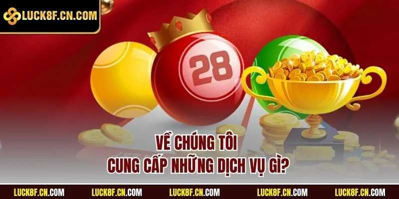 Về chúng tôi cung cấp những dịch vụ gì?