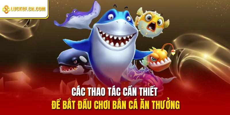 Các thao tác cần thiết để bắt đầu chơi bắn cá ăn thưởng
